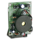 ELECTRONIC CRICKET
